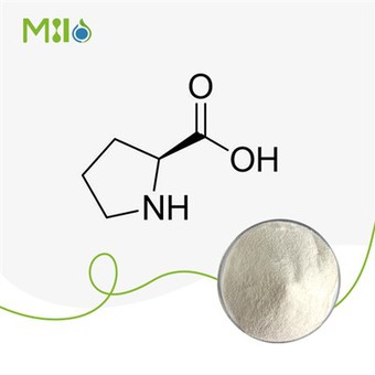 L-Prolina in polvere